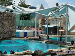 -新加坡水上探险乐园