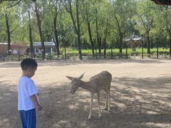 -北京麋鹿生态实验中心