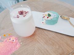-共舞时光猫咖·狗咖(新街口店)