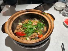 啫啫石斑鱼扣-煲煲好(朝阳门店)