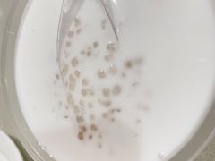 -老周记顺德双皮奶