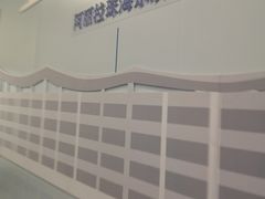 -东澳岛