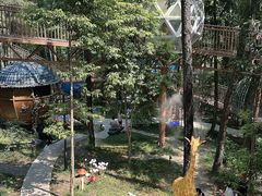 -东明山森林公园