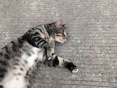 -江南大学(蠡湖校区)