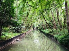 -上海滨江森林公园