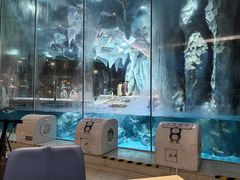 -帝企鹅自助餐厅•儿童岛•真企鹅(长隆企鹅酒店)