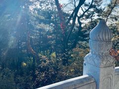 -北山公园