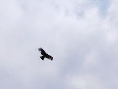 -灌篮高手动画打卡地