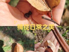 -羊山湖公园