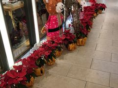 -鼎泰丰(当代商城店)