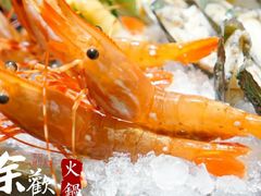 牡丹虾-余欢领鲜火锅(新街口店)