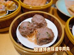 -佛山顺德香云纱园林酒店(清晖园店)