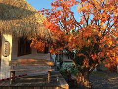 -Blue Concept Cafe&Farm·關於藍