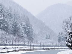 -鳌山滑雪度假区