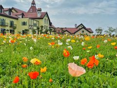 -歌斐颂巧克力小镇