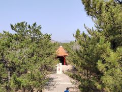 -乌素图国家森林公园