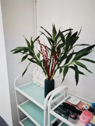 -雅颜皮肤管理中心