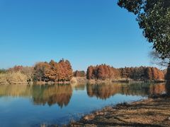 -苏州太湖国家湿地公园