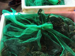 -青石桥市场北1-27号