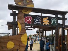 -上海长兴岛郊野公园