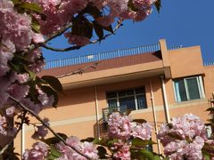 -芳芳餐厅(白沙路店)