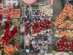 -重庆市江北嘴中央商务区中央公园