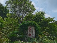 -广州白江湖森林公园