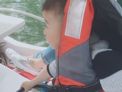 游乐设施-上海共青森林公园