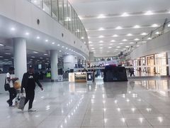 -尼诺伊·阿基诺国际机场T1航站楼