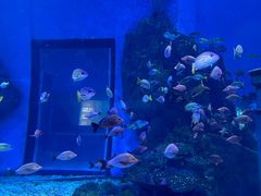 -海合安武汉极地海洋公园