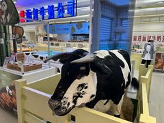 -红星前进面包牛奶公司(君太店)