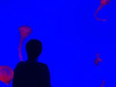 -瑞普利水族馆