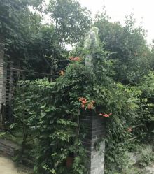 点击看大图 -YUEYAR PHOTO摄影