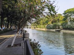 -聚福山莊·寻味顺德(北滘店)