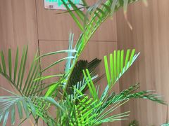 -狼头山火锅 KTV欢唱·烤串(理工大学店)
