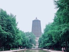-玲珑塔公园