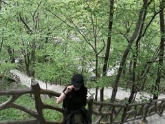 -洛阳白云山景区