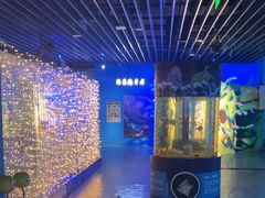 -沙沙哗啦海洋馆(华宇百花谷店)