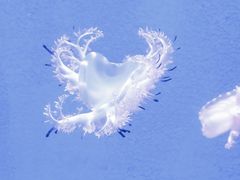 -福州罗源湾海洋世界旅游区