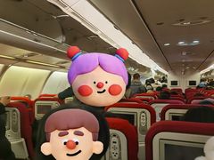 -海南海航航空信息系统公司