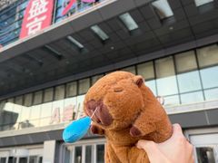 -盛京大奥莱(沈阳奥体店)