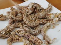 -望海潮海鲜店 特色家常菜(在海一方店)