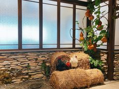 -洞庭土菜馆(天河北总店)