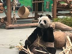 -柳州市动物园