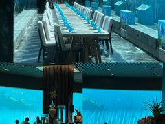 -涛·海底餐厅·美人鱼·自助餐·海底隧道(三亚海棠湾洲际度假酒店)