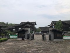 -大唐贡茶院