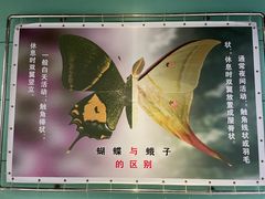 -上海昆虫博物馆