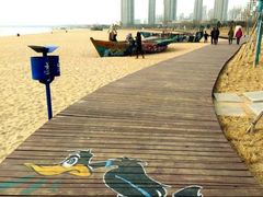 -金梦海湾浴场