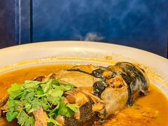 -燕郊烧鸽子(酷车小镇店)