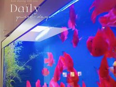 -宫七SPA·高端Massage(浦东大道店)